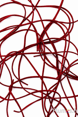 Leren riem - dikte 2 mm - bordeaux